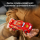 LEGO SPEED CHAMPIONS 77255 Zygzak Mcqueen - 1473592 - zdjęcie 10